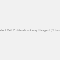 CytoSelect Cell Proliferation Assay Reagent (Colorimetric)